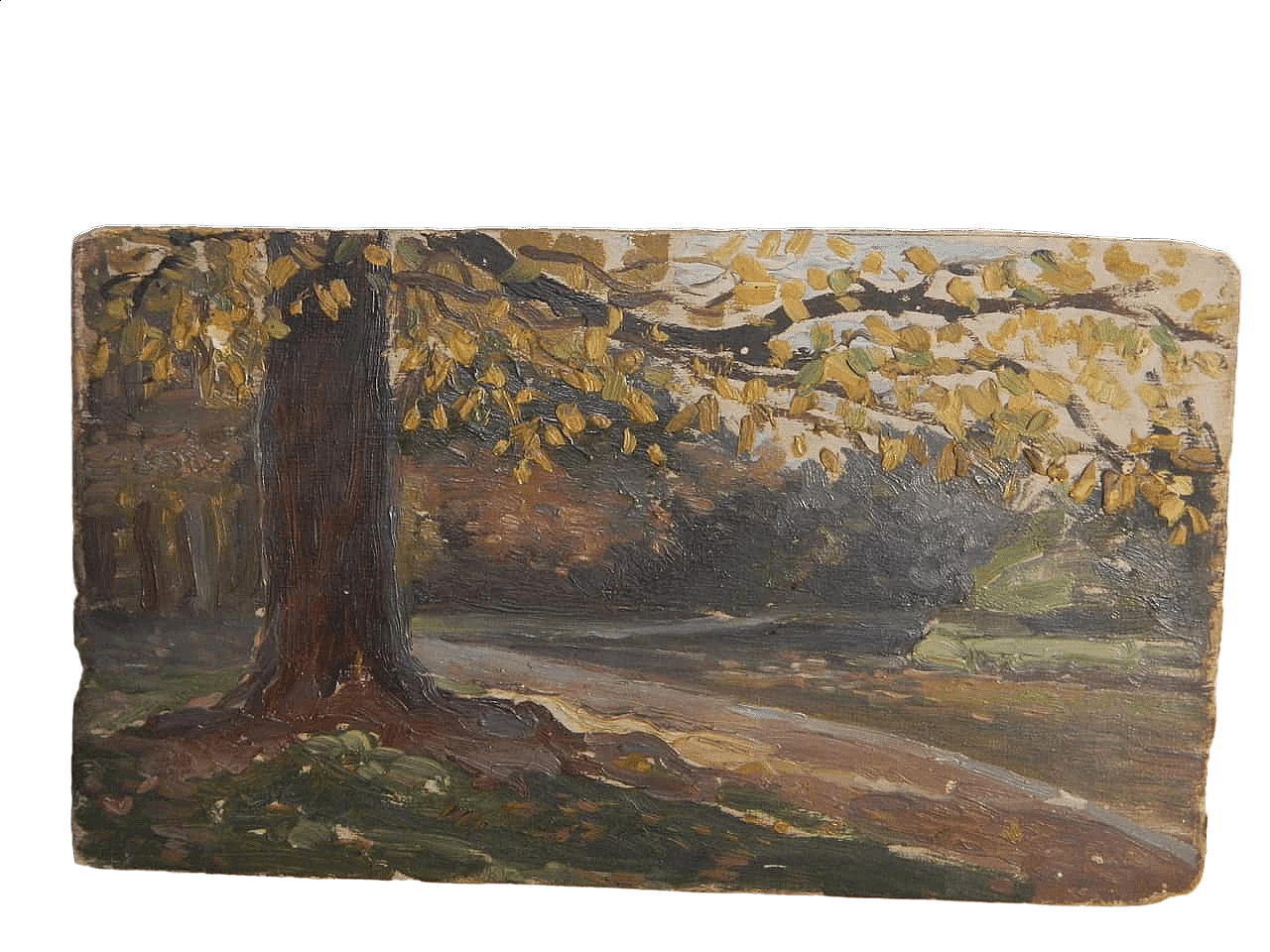 Des Champs, tree trunk, painting on wood, early 20th century 9