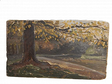 Des Champs, tronco d'albero, dipinto su legno, inizio ‘900