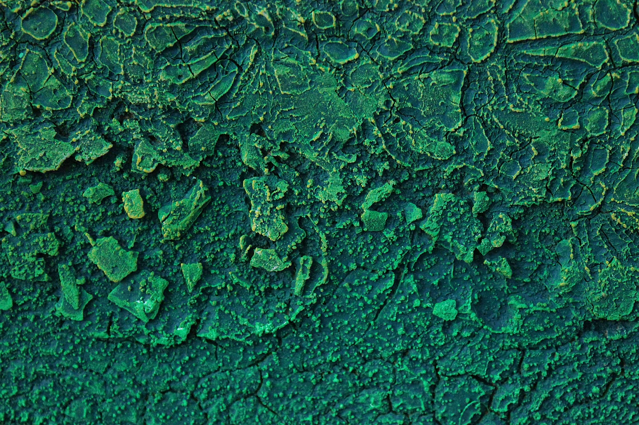 Stefano Bersani, Deserto verde, tecnica mista, 2014 3