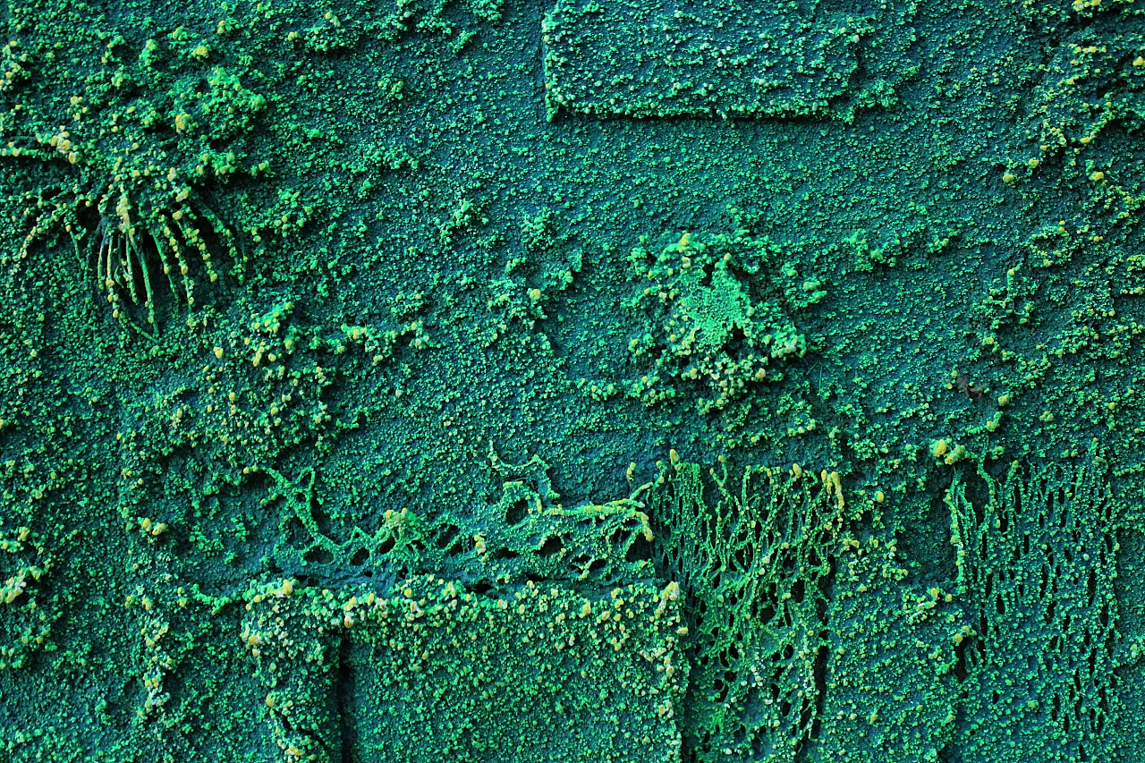 Stefano Bersani, Deserto verde, tecnica mista, 2014 4