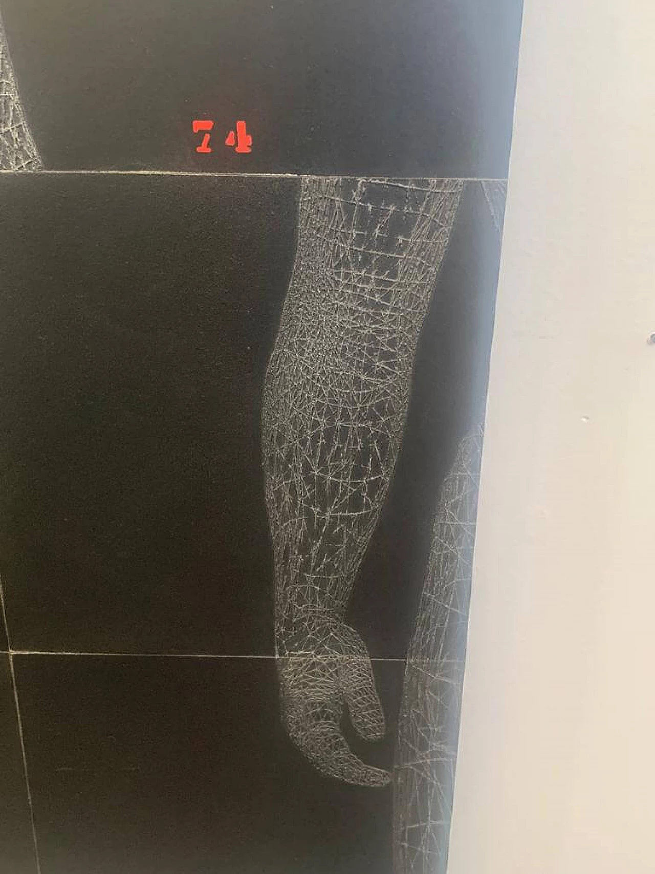 Stefano Bersani, Scansione anatomica, rilievo su legno laccato nero, 2014 7