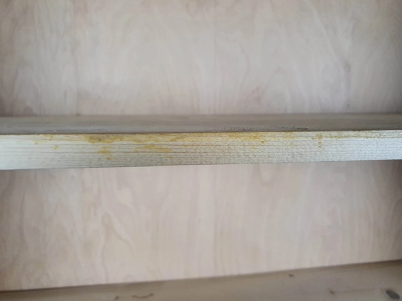 Libreria in radica di mogano a cinque ripiani regolabili, anni '50 16