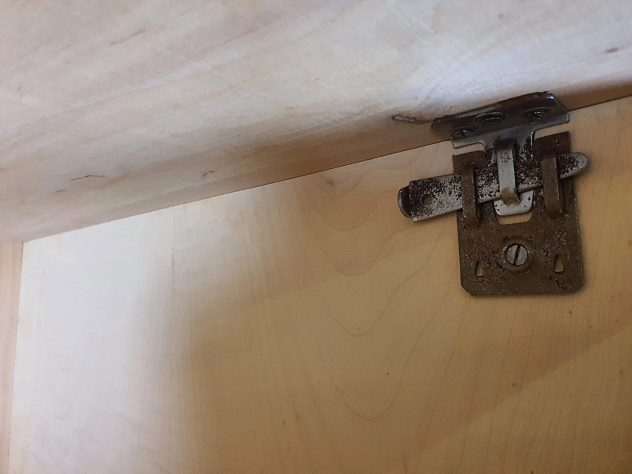 Libreria in radica di mogano a cinque ripiani regolabili, anni '50 19