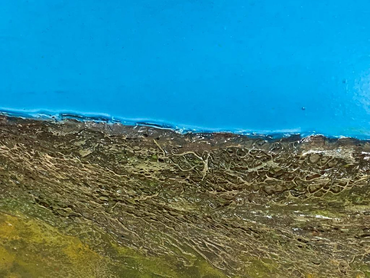 Stefano Bersani, Botanicum, pannello con radici e resine 5