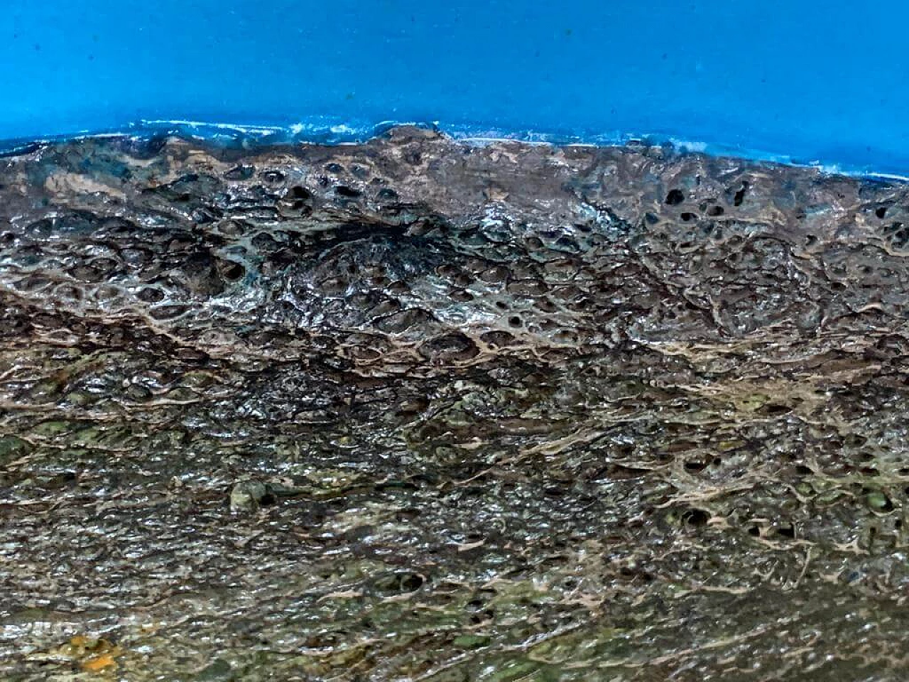 Stefano Bersani, Botanicum, pannello con radici e resine 8