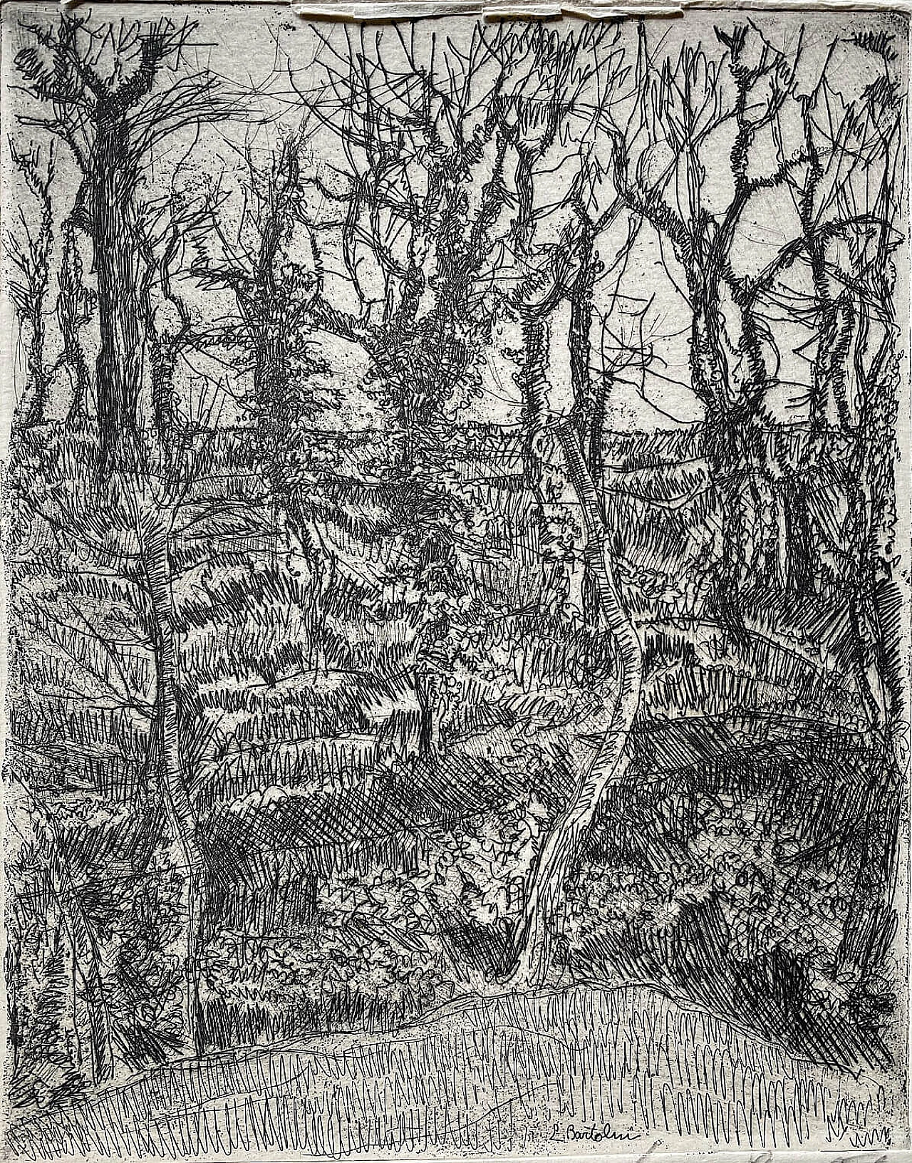 Luigi Bartolini, Ceduo Forest, etching, 1940s 2