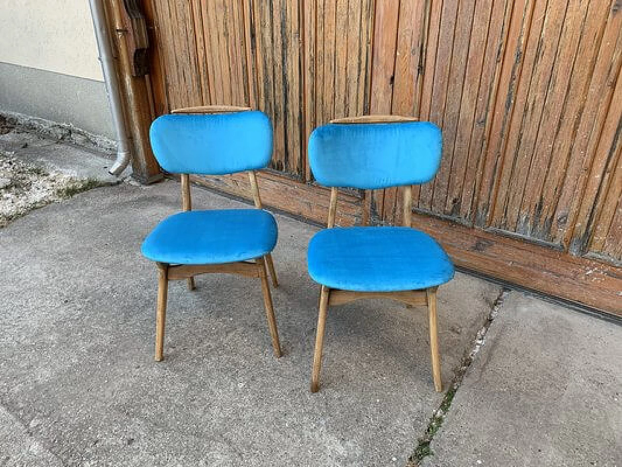 Coppia di sedie in legno e velluto azzurro, anni '60 1