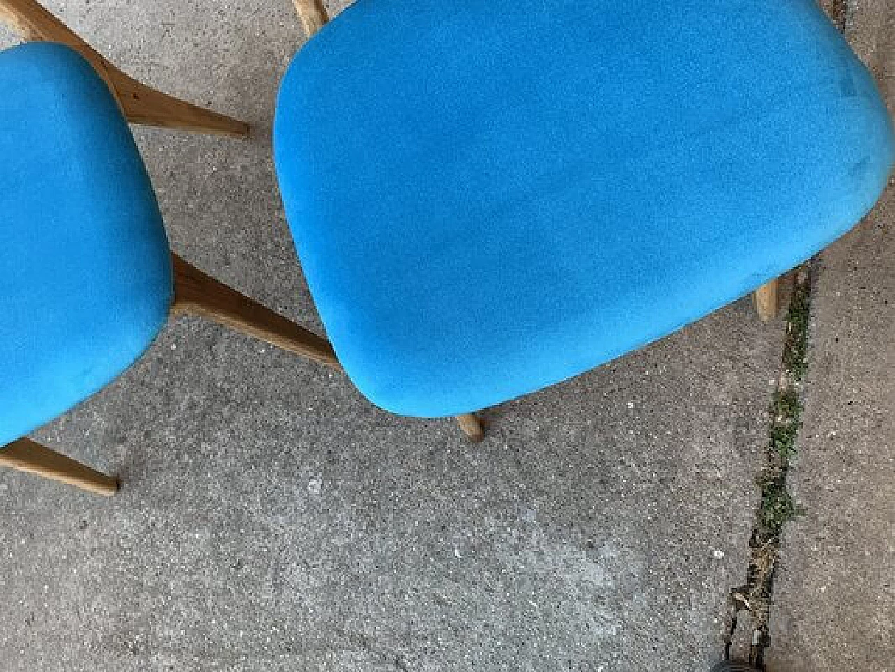 Coppia di sedie in legno e velluto azzurro, anni '60 2