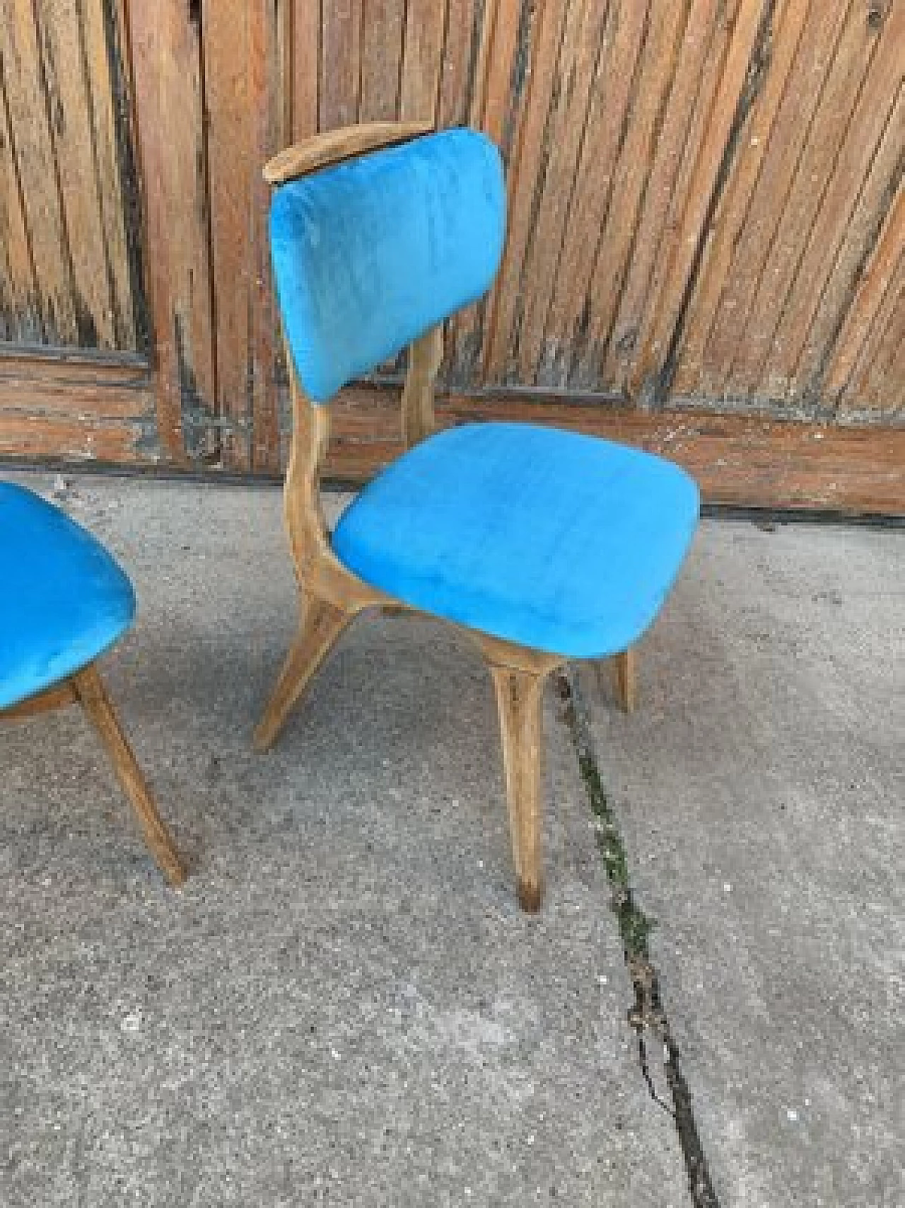 Coppia di sedie in legno e velluto azzurro, anni '60 4