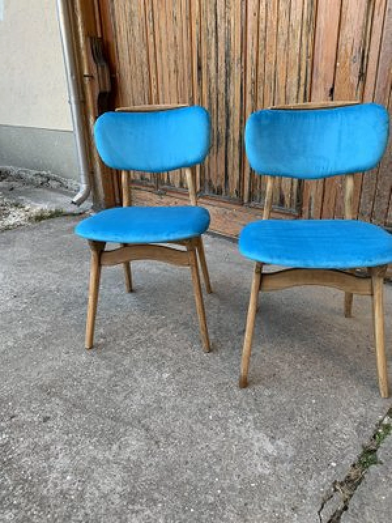 Coppia di sedie in legno e velluto azzurro, anni '60 5