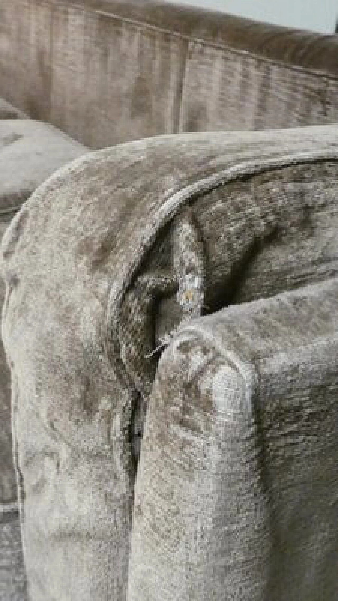 Modular sofa and armchair by Luigi Pellegrin for MIM Rome, 1960s 16