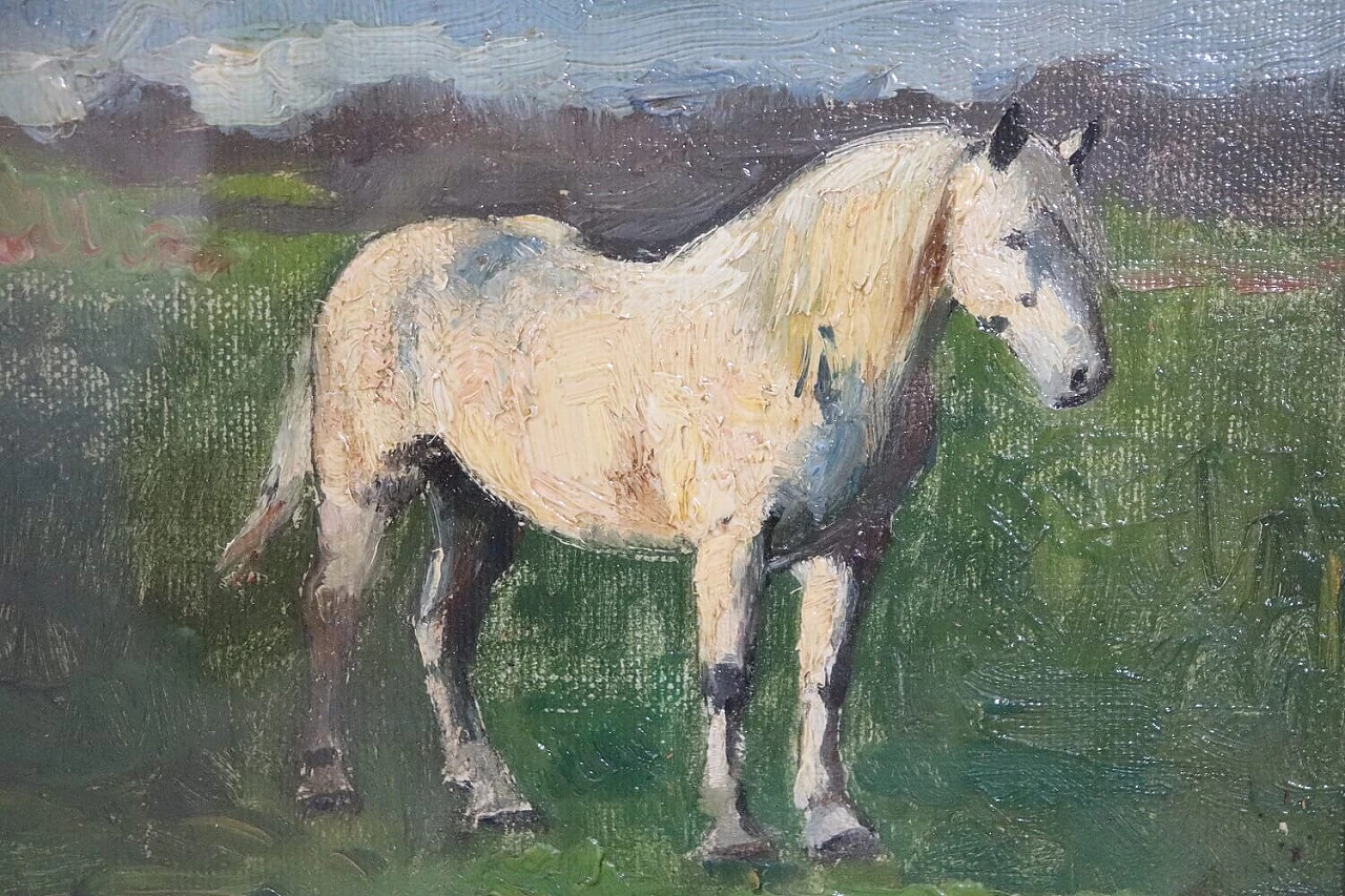 Edwin Ganz, cavallo bianco, olio su tavola, prima metà del '900 2