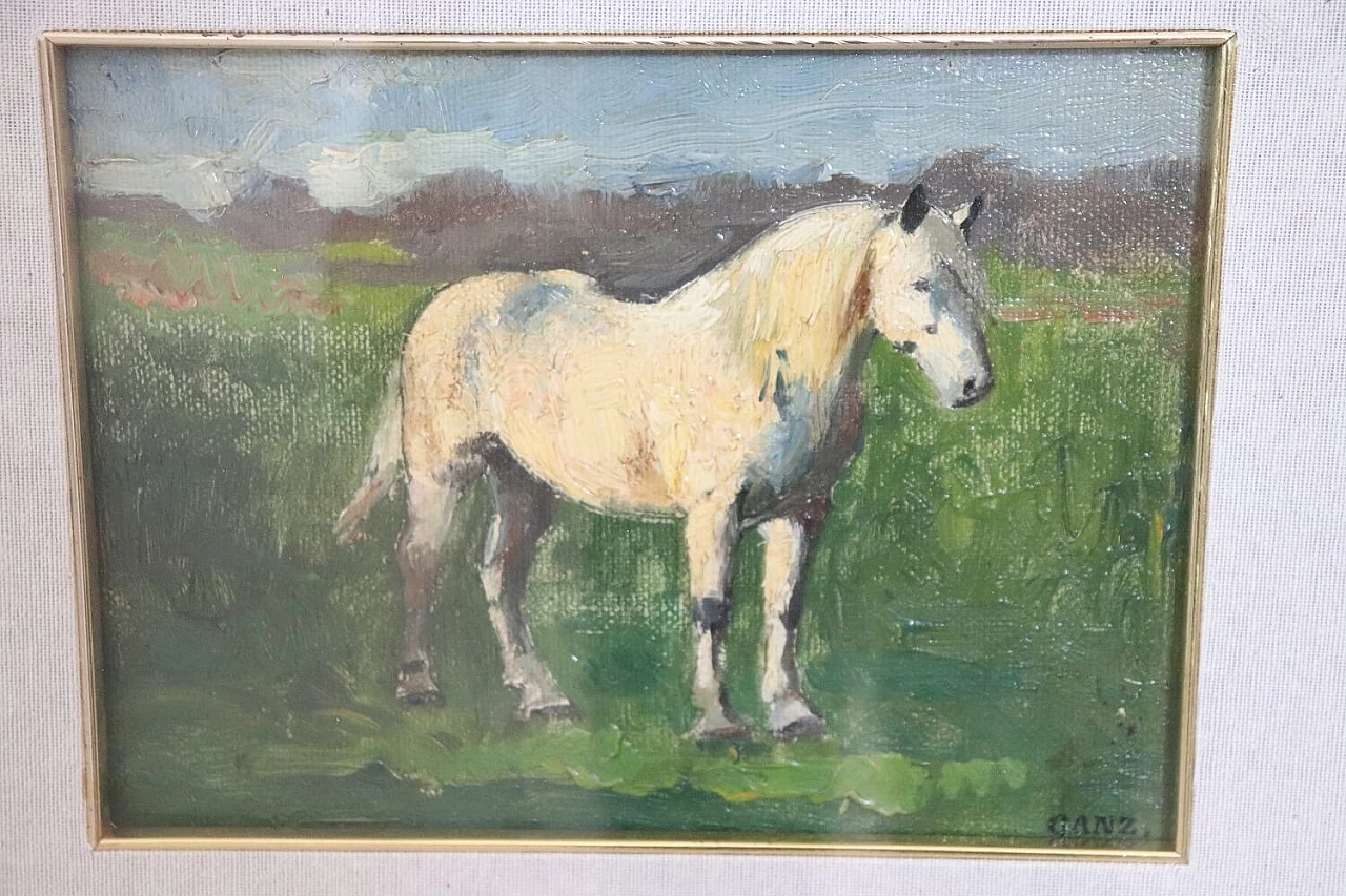Edwin Ganz, cavallo bianco, olio su tavola, prima metà del '900 4