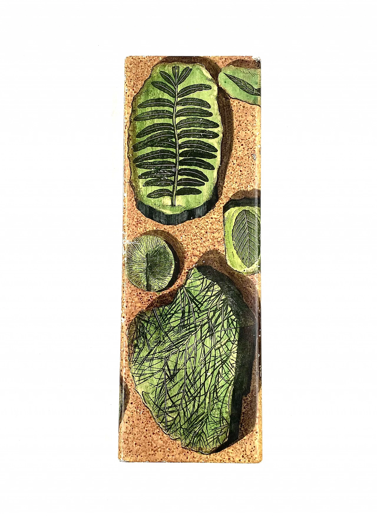 Cigar box with plant motif by Piero Fornasetti, 1950s 2