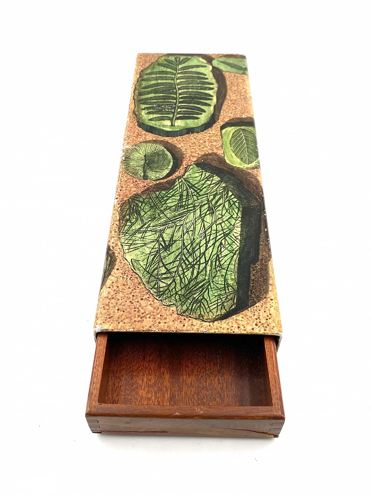 Cigar box with plant motif by Piero Fornasetti, 1950s 5