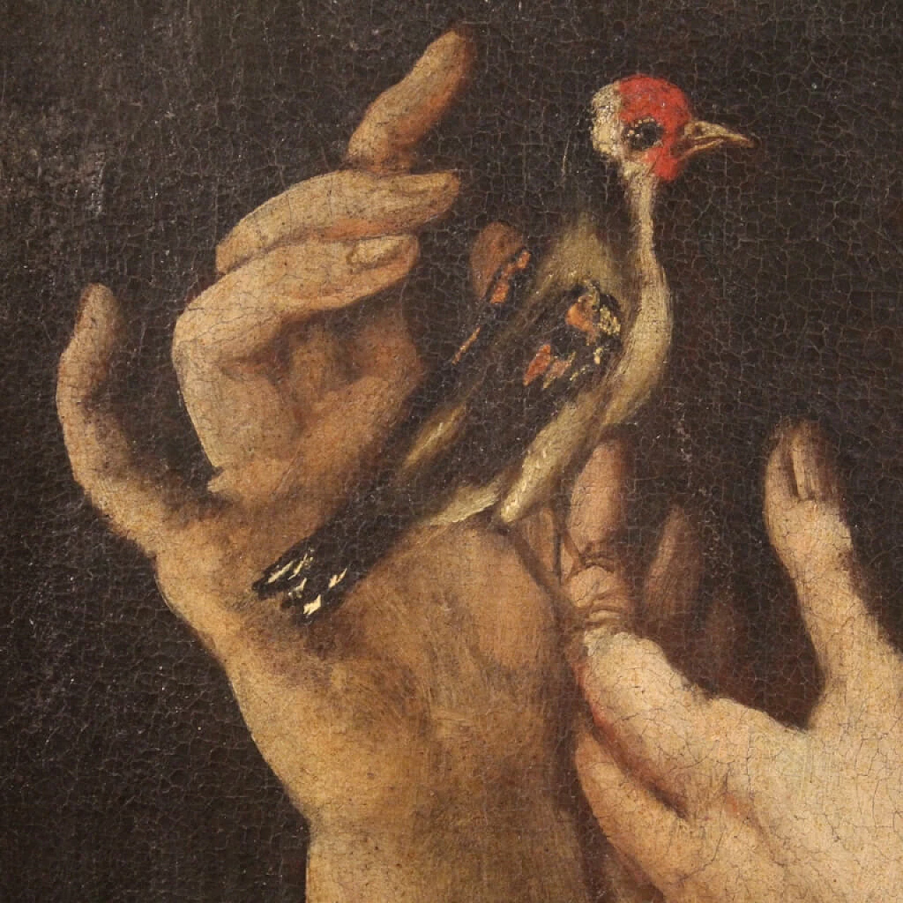 Ritratto di fanciulla con cardellino, dipinto a olio su tela, '700 10