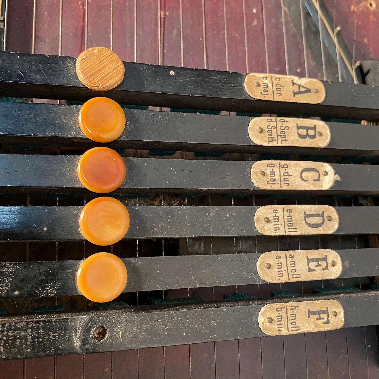 Saxon zither with keyboard by Müller's, early 20th century 4