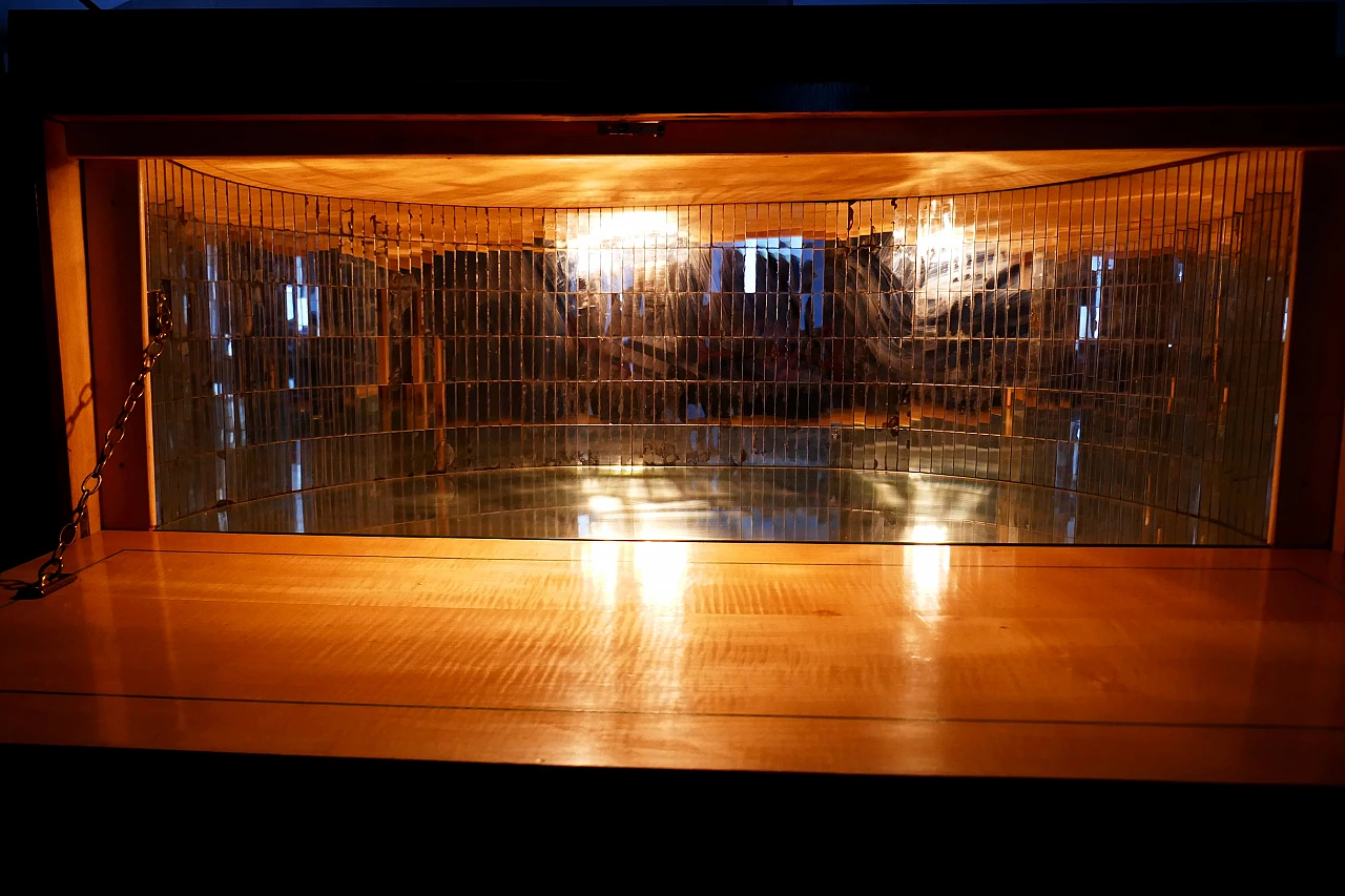 Bar cabinet attributed to Paolo Buffa exhibition La Permanente Cantù, 1940s 13