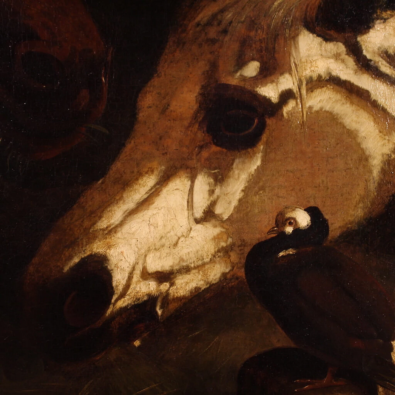 Dipinto con cavalli, scuola italiana, olio su tela, prima metà '800 8