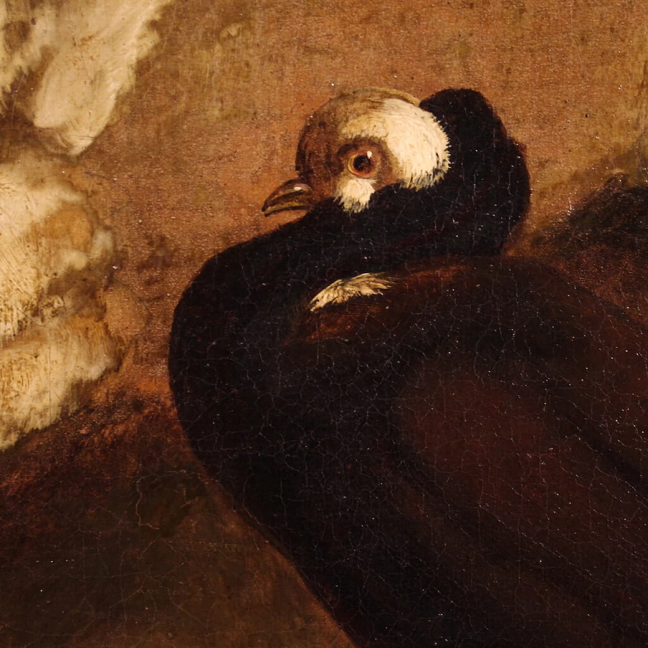 Dipinto con cavalli, scuola italiana, olio su tela, prima metà '800 9