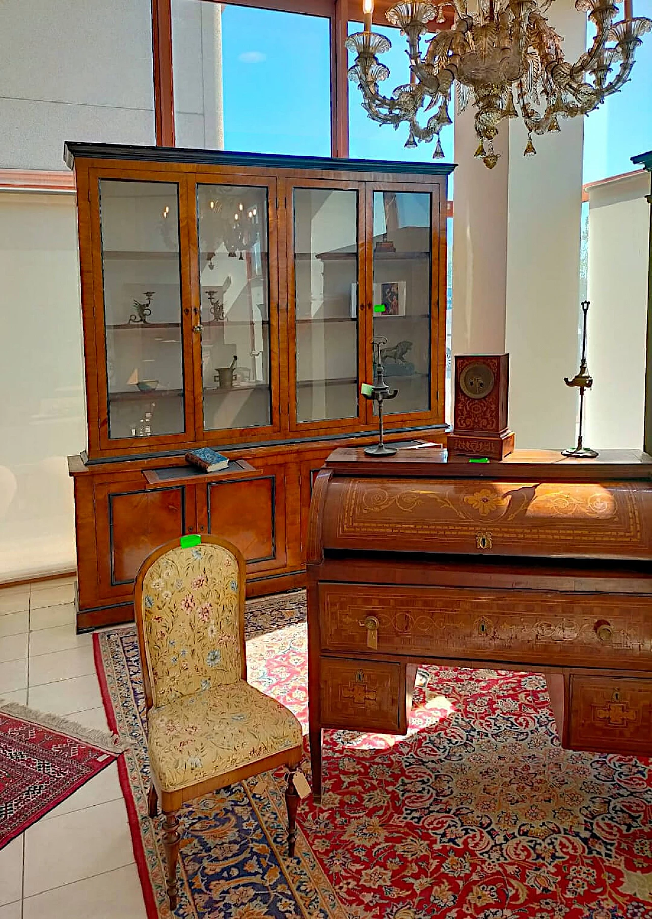 Olive wood panelled glass bookcase, 19th century 2