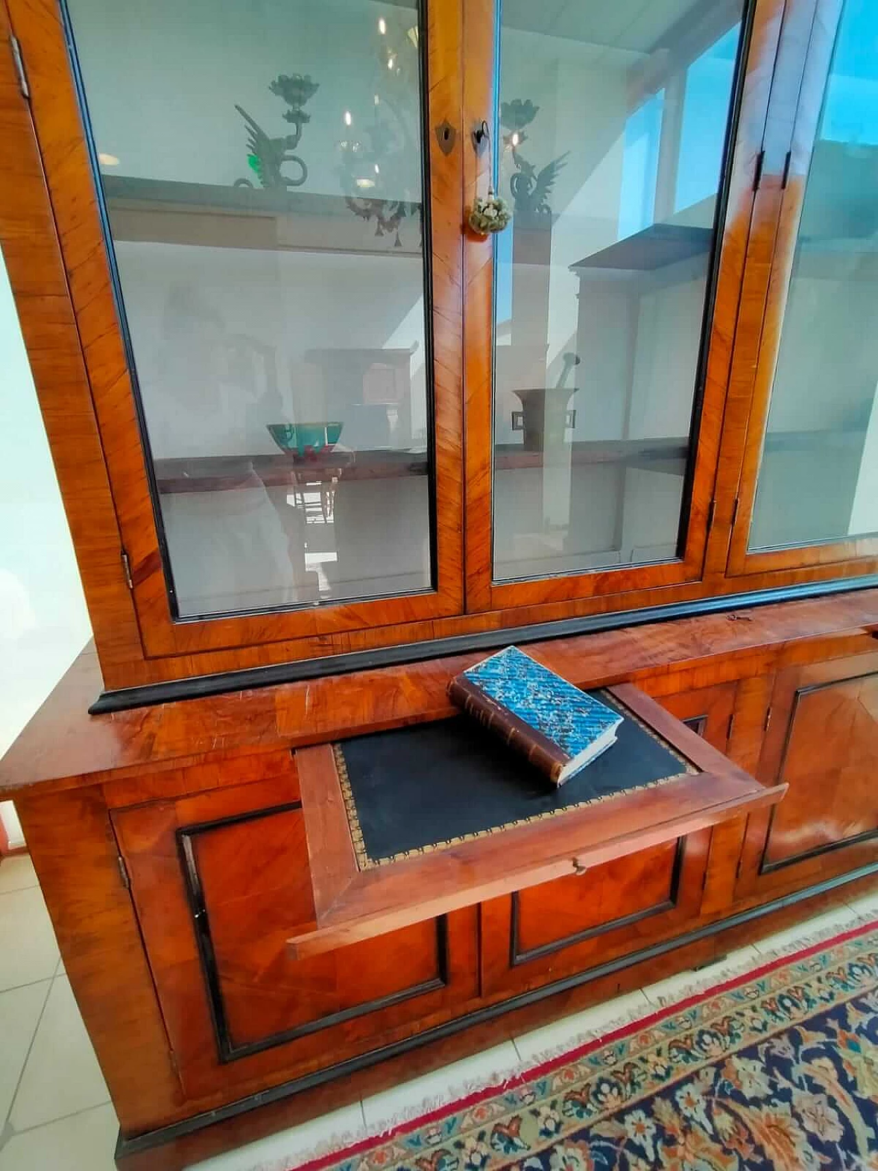 Olive wood panelled glass bookcase, 19th century 3