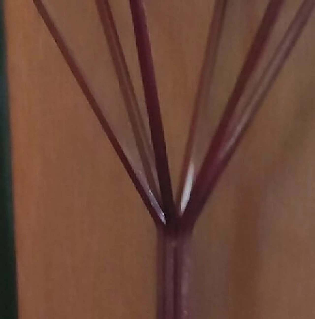 Coat hanger by Luigi Caccia Dominioni for Azucena, 1960s 5