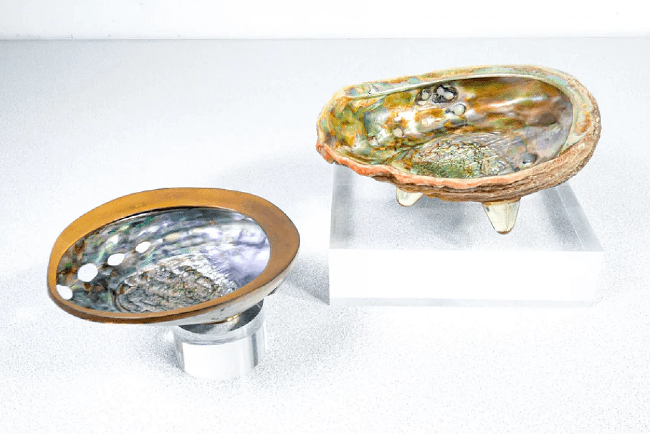 Conchiglie Argyrostomus - Confezione Da 300 Gr Color Bianco Perla