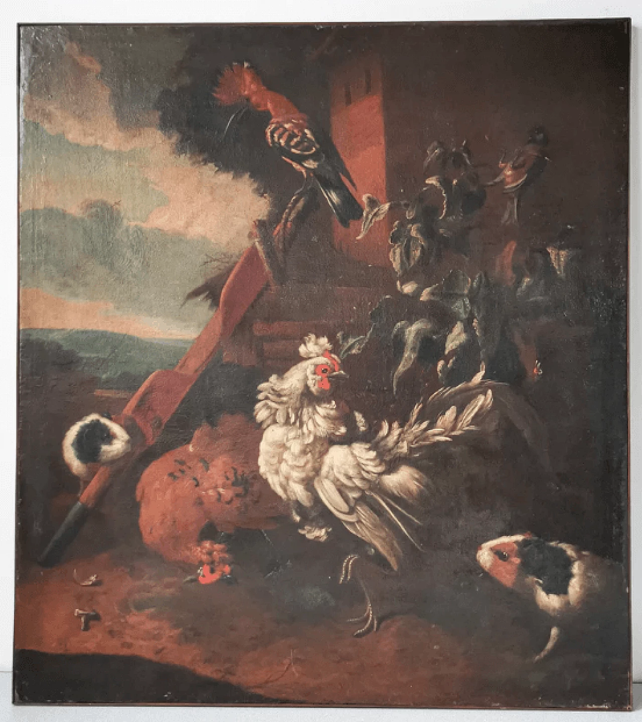Birds and guinea pigs, oil on canvas, 17th century 1