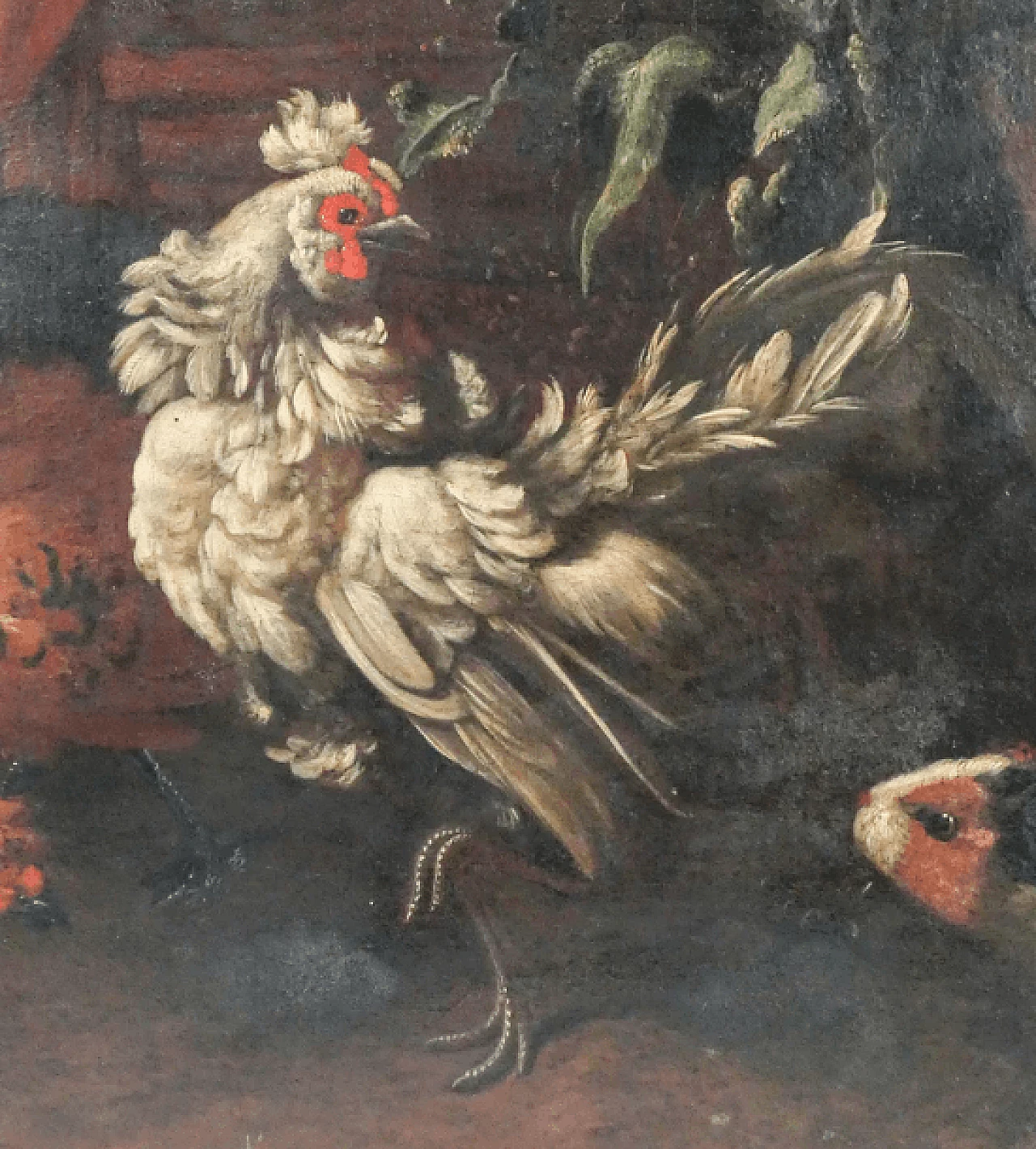 Birds and guinea pigs, oil on canvas, 17th century 2