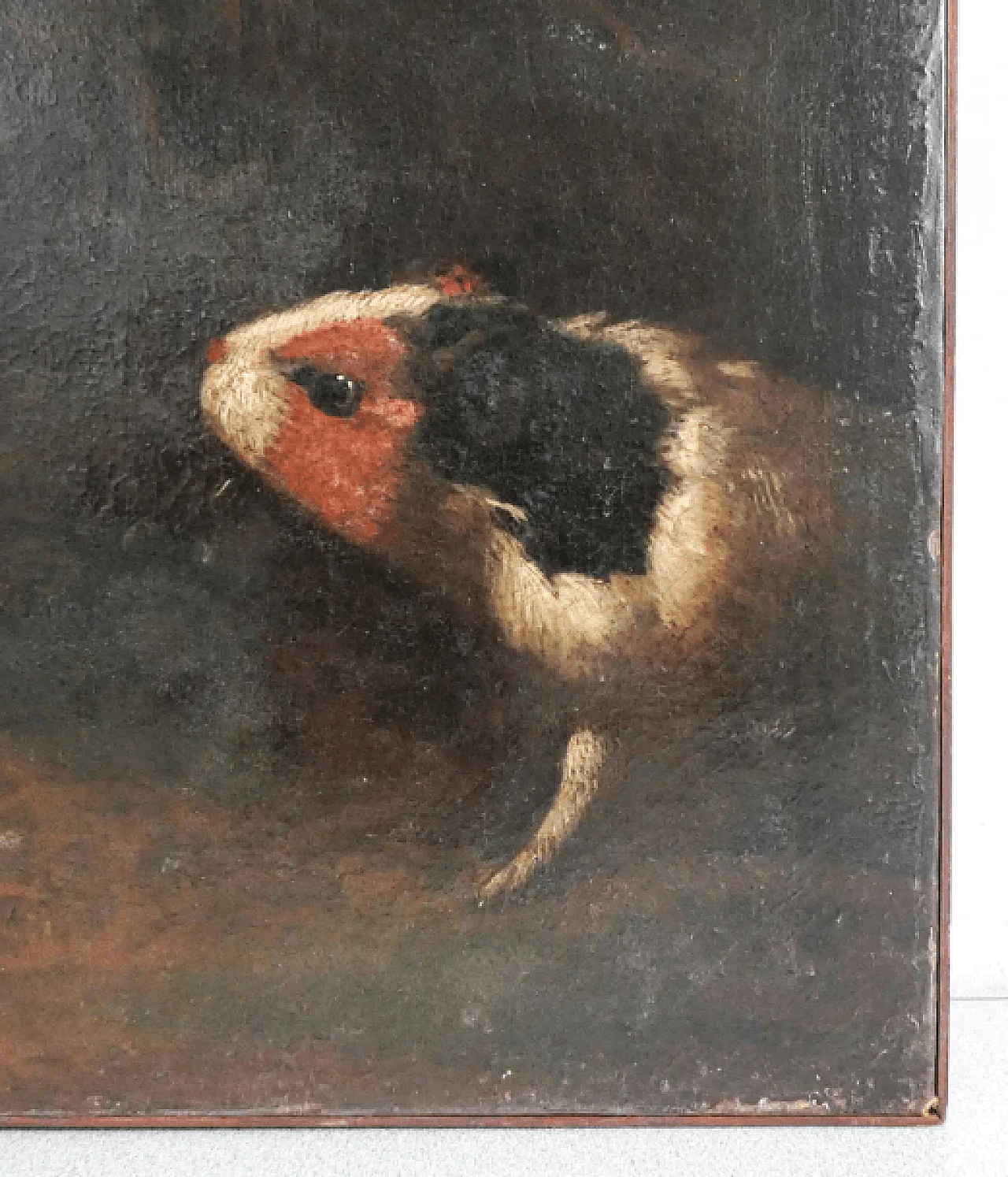 Birds and guinea pigs, oil on canvas, 17th century 5