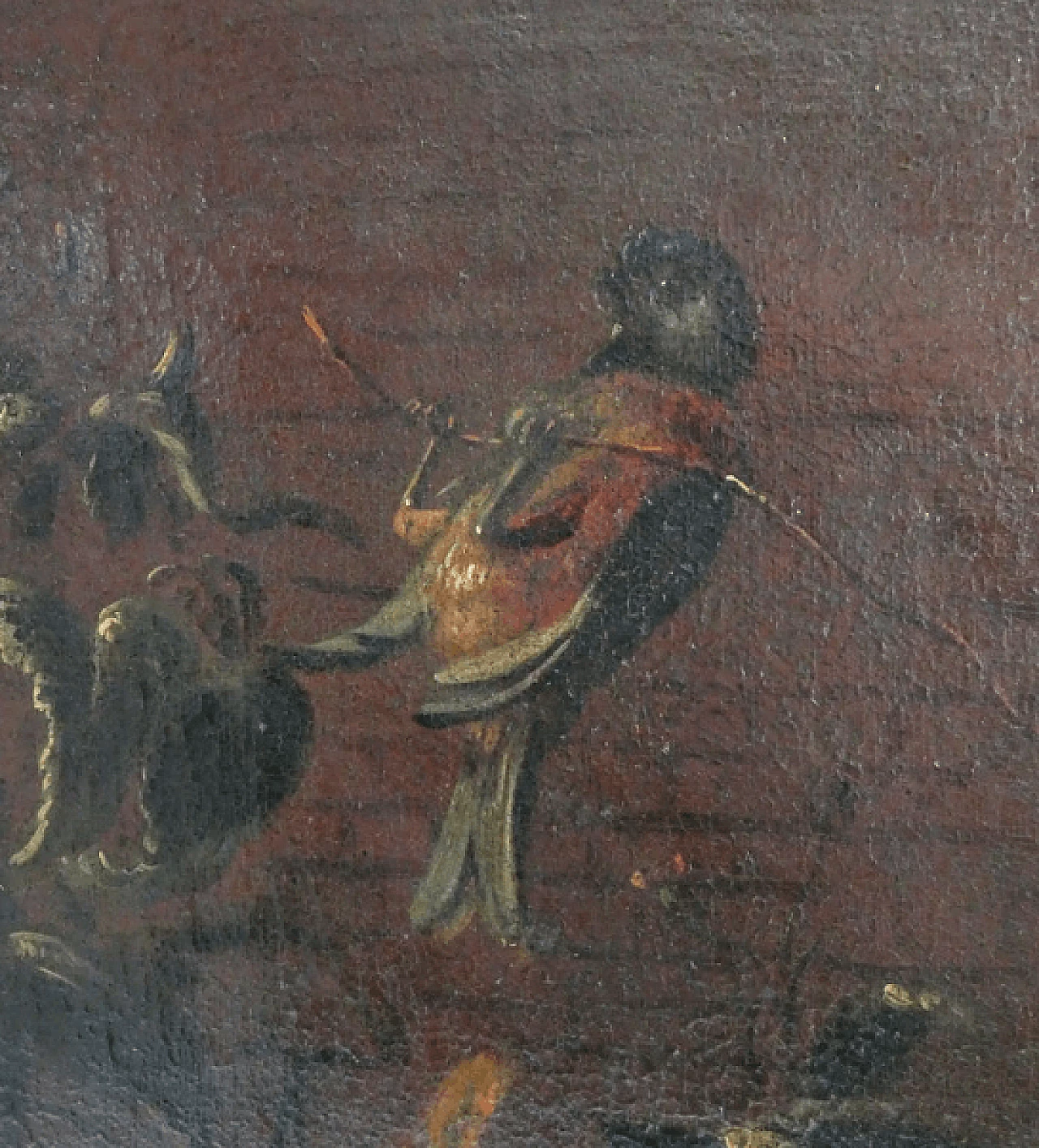 Birds and guinea pigs, oil on canvas, 17th century 6