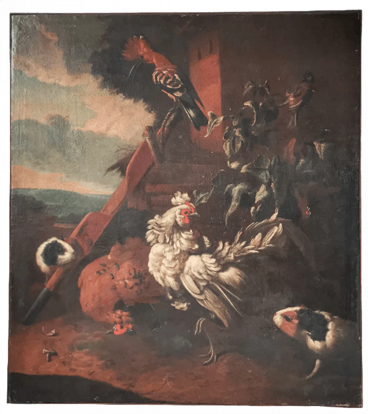 Birds and guinea pigs, oil on canvas, 17th century 9