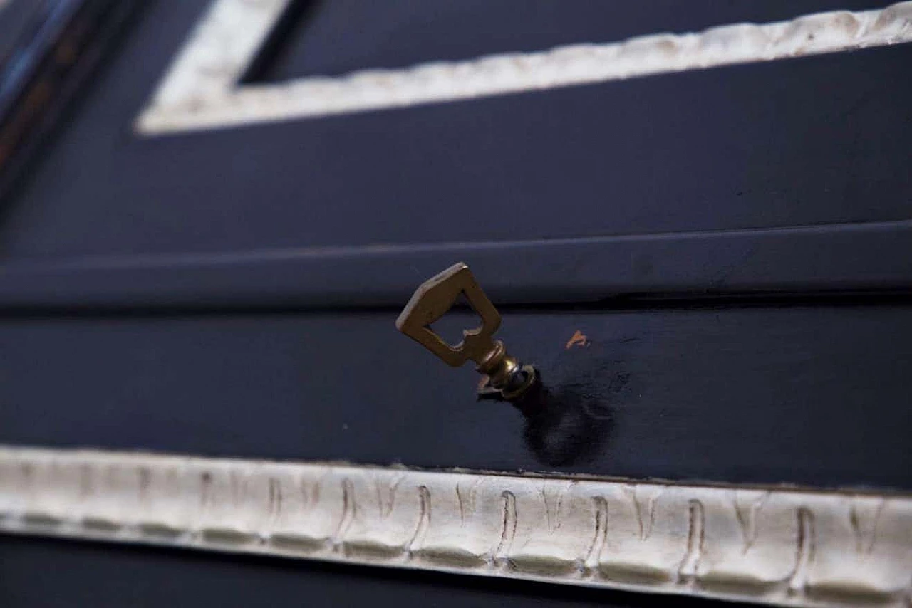 Finely carved and ebonised wooden bar cabinet, 1920s 14