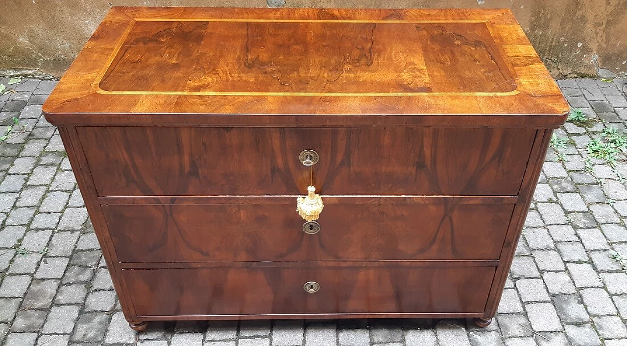 Viennese walnut root panelled commode, 19th century 2