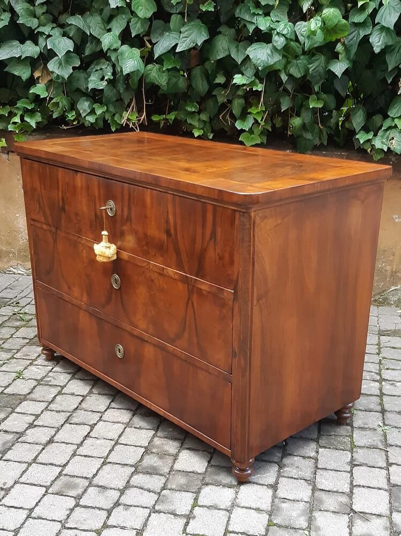 Viennese walnut root panelled commode, 19th century 3