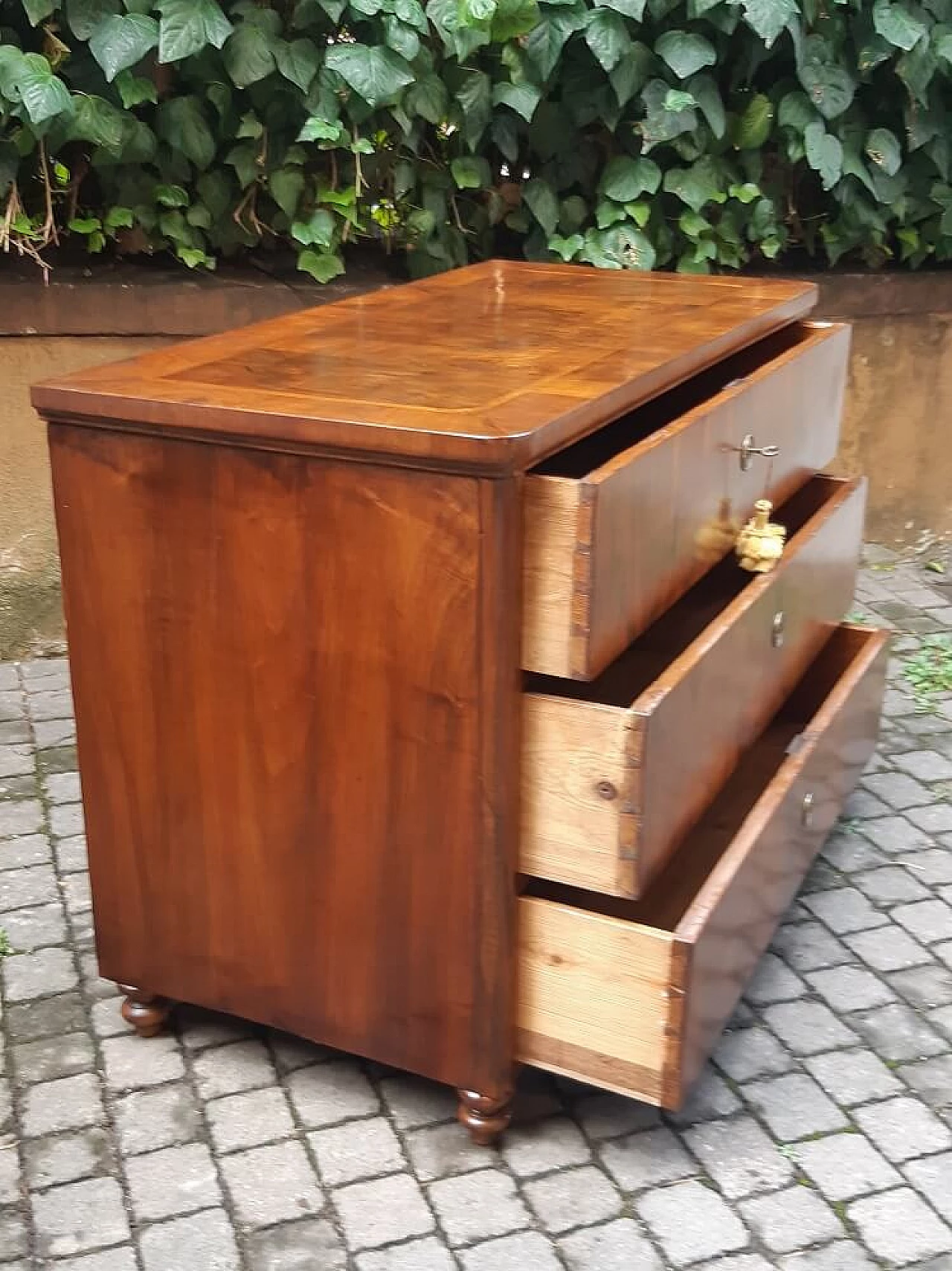 Viennese walnut root panelled commode, 19th century 4