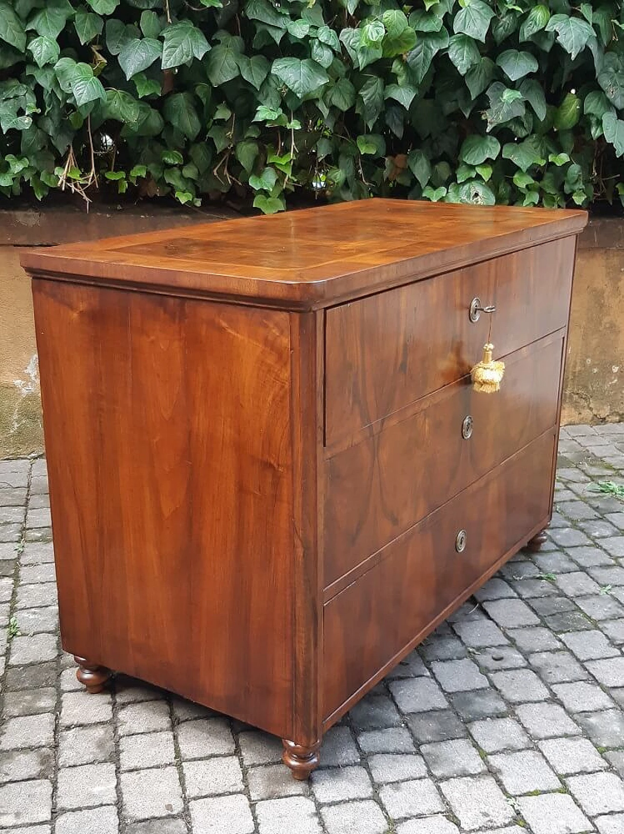 Viennese walnut root panelled commode, 19th century 5