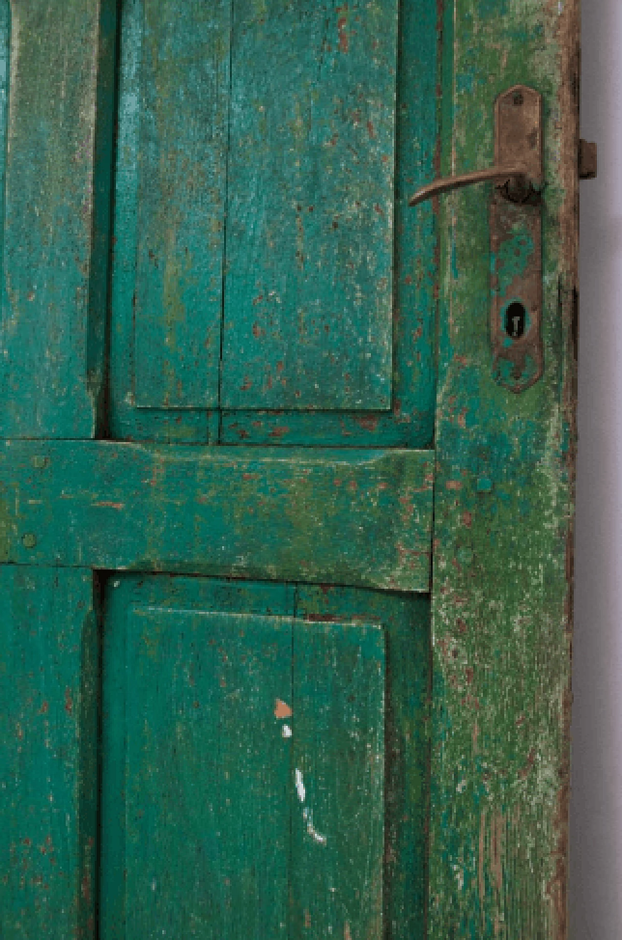 Green painted wooden door, 1960s 7