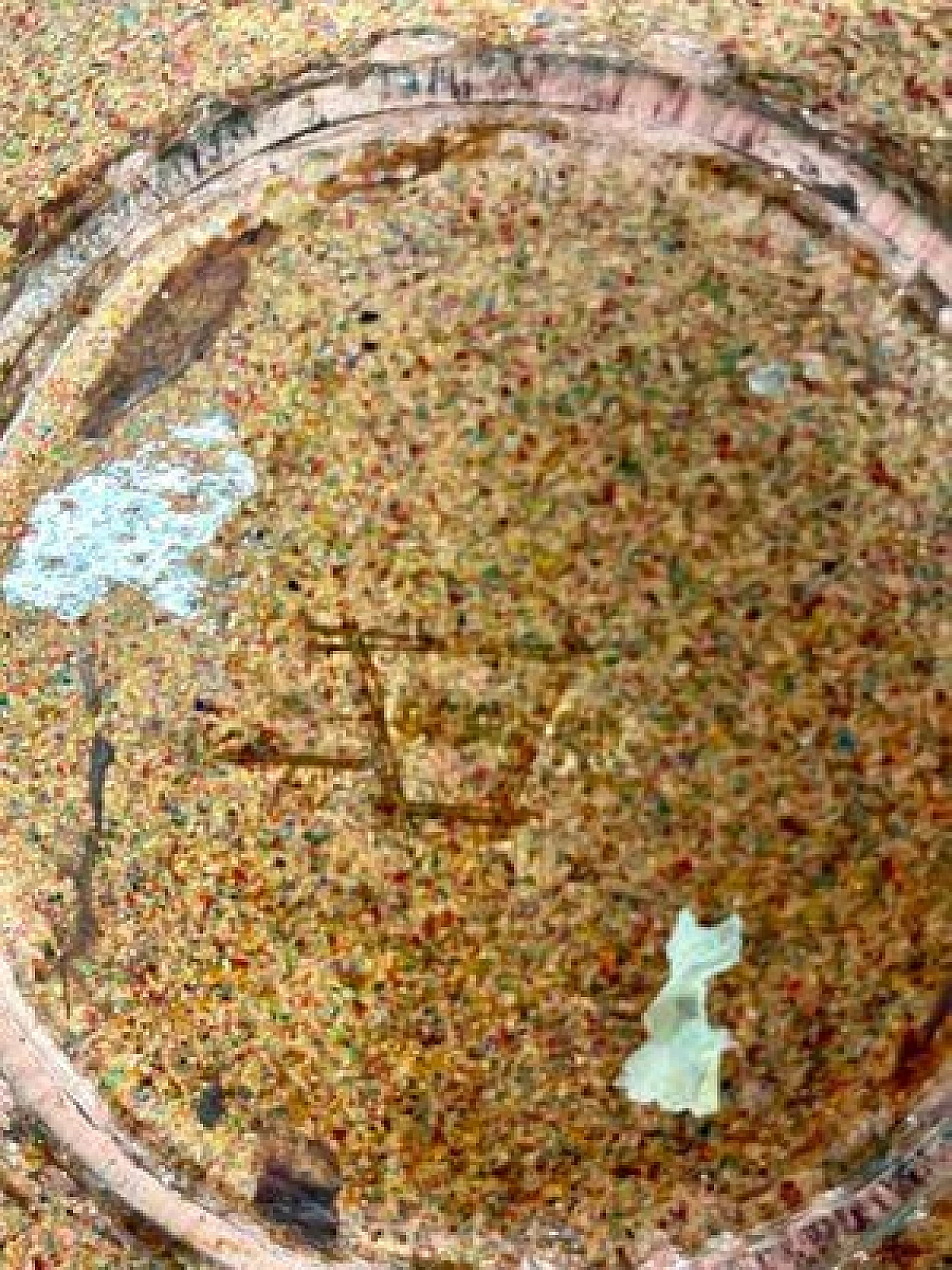 Piatto in rame smaltato di Studio Del Campo, anni '60 4