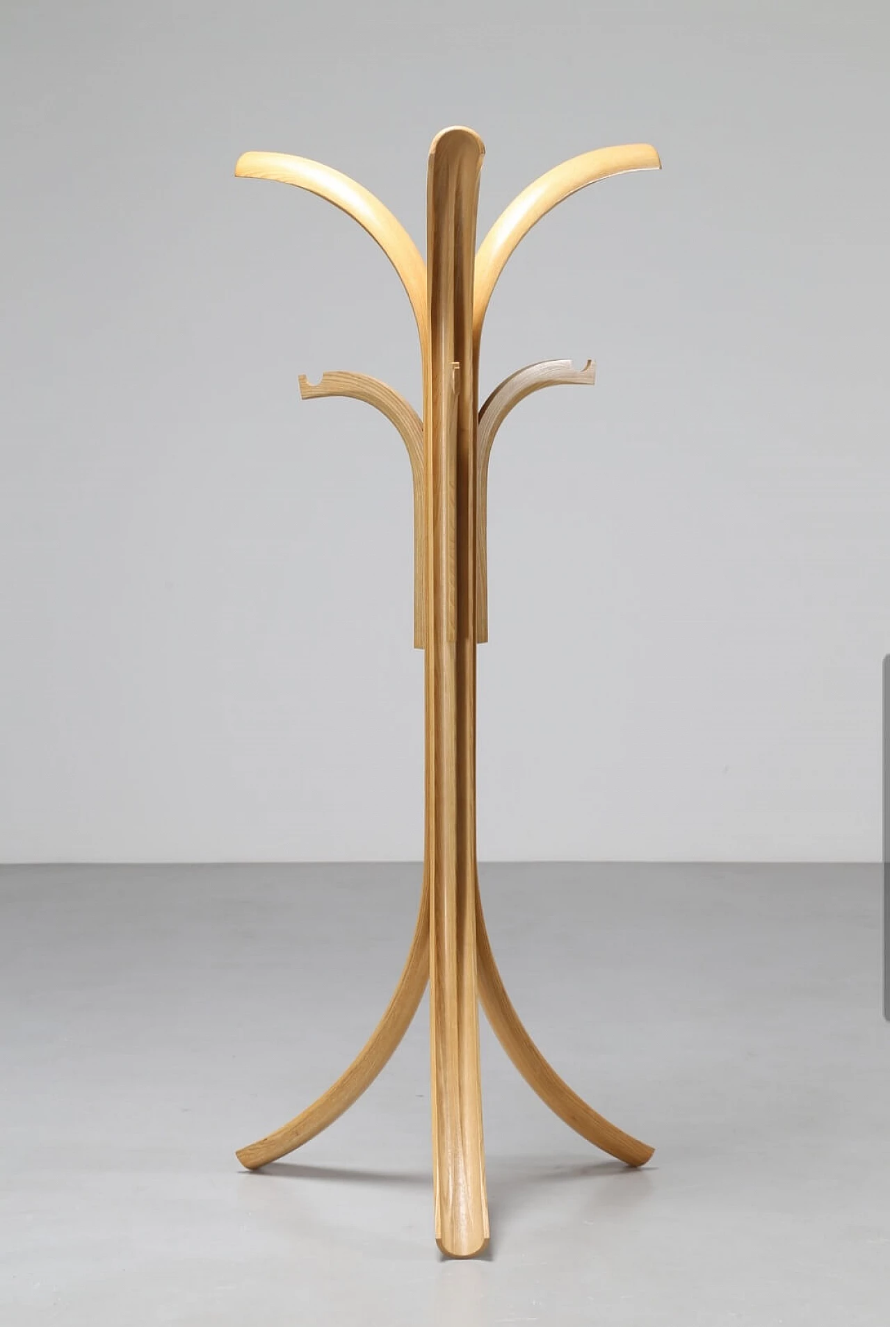 Bent ash coat stand by Offredi Giovanni for Crassevig, 1970s 1