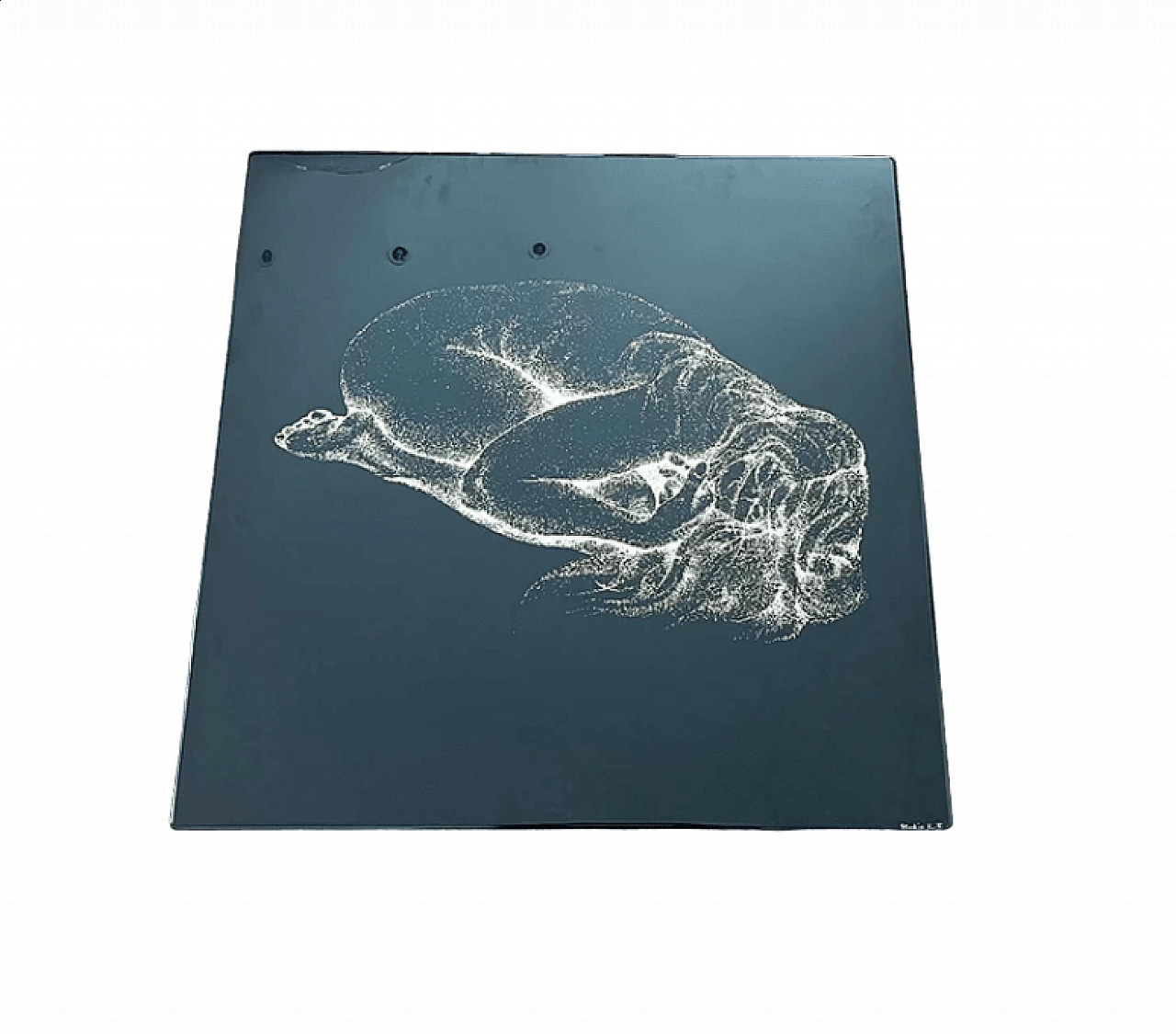 Claudia, white on black silkscreen print by Studio E.F. Viareggio, 1970s 4