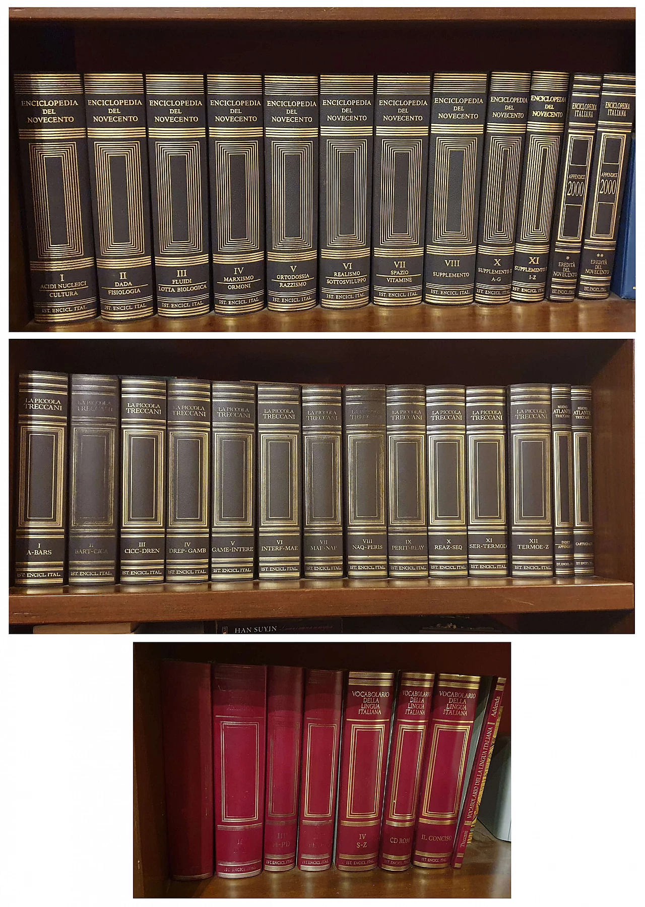 Raccolta Treccani, anni '80 3
