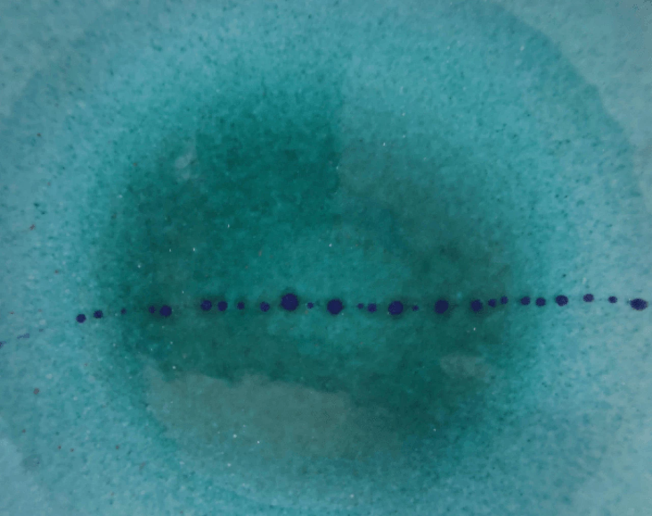 4 Plates in hand-painted and glazed Albisola terracotta, 1960s 13