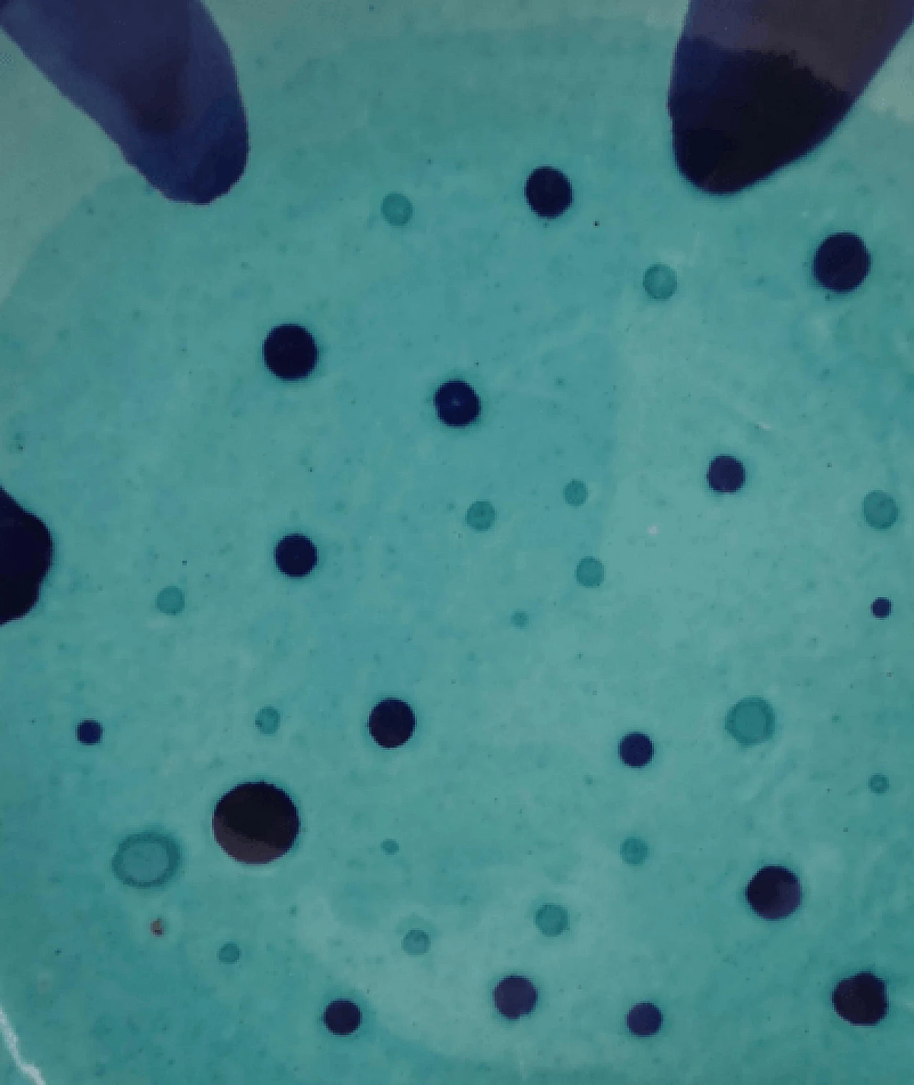 4 Plates in hand-painted and glazed Albisola terracotta, 1960s 15