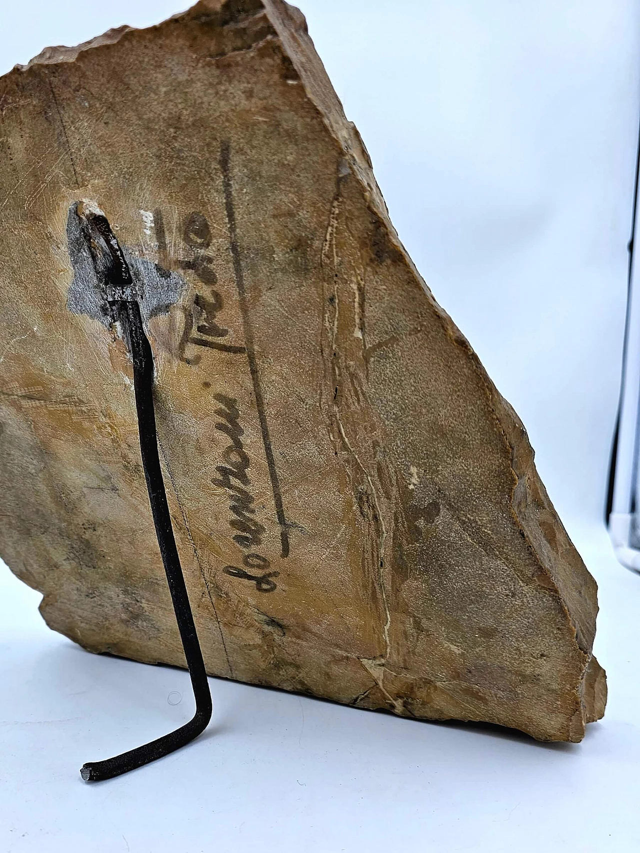 Pietro Lorenzoni, Madonna con Bambino, bassorilievo in marmo, fine '800 6