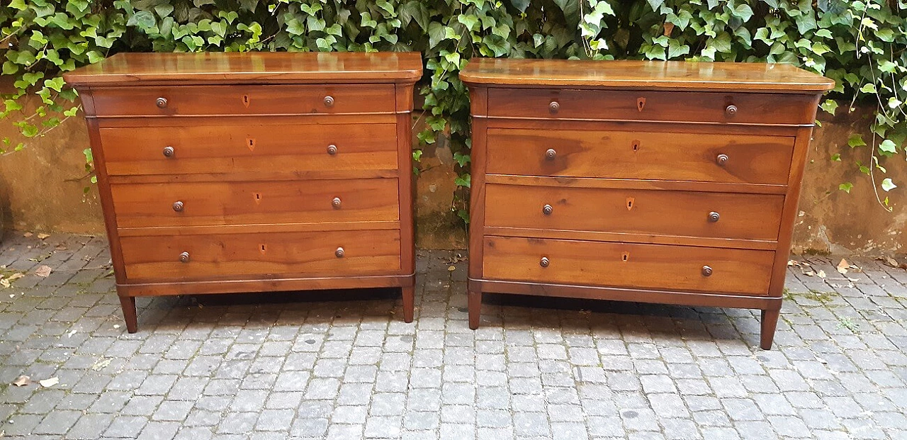 Pair of Emilian Charles X walnut commodes, first half of the 19th century 1