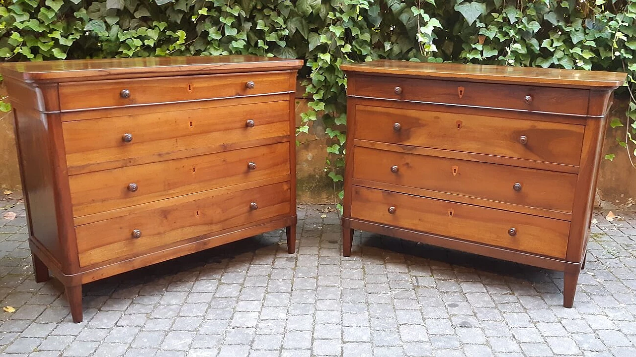 Pair of Emilian Charles X walnut commodes, first half of the 19th century 12