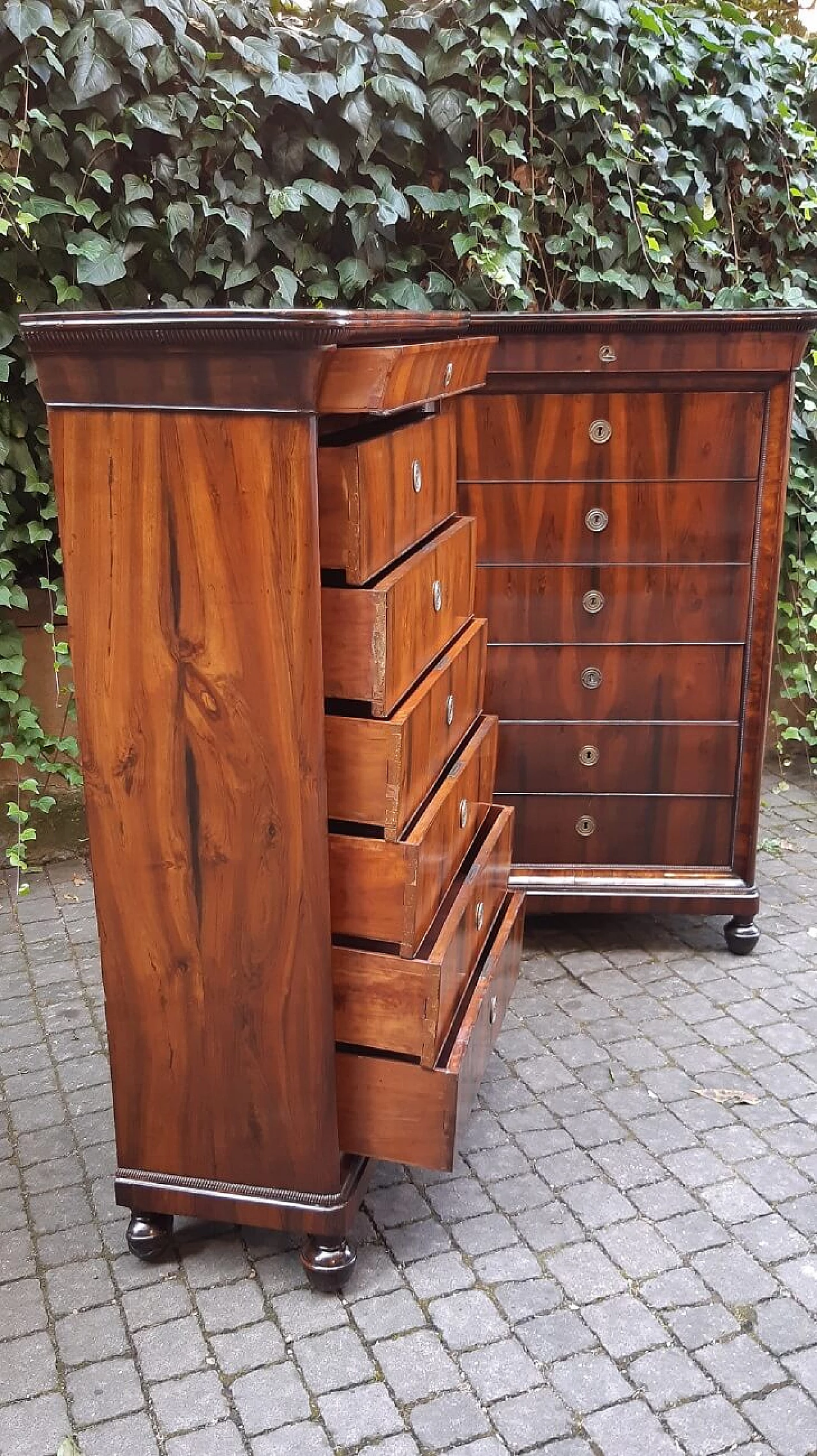 Pair of Lombard Charles X walnut and briar-root paneled chest of drawers, 19th century 9