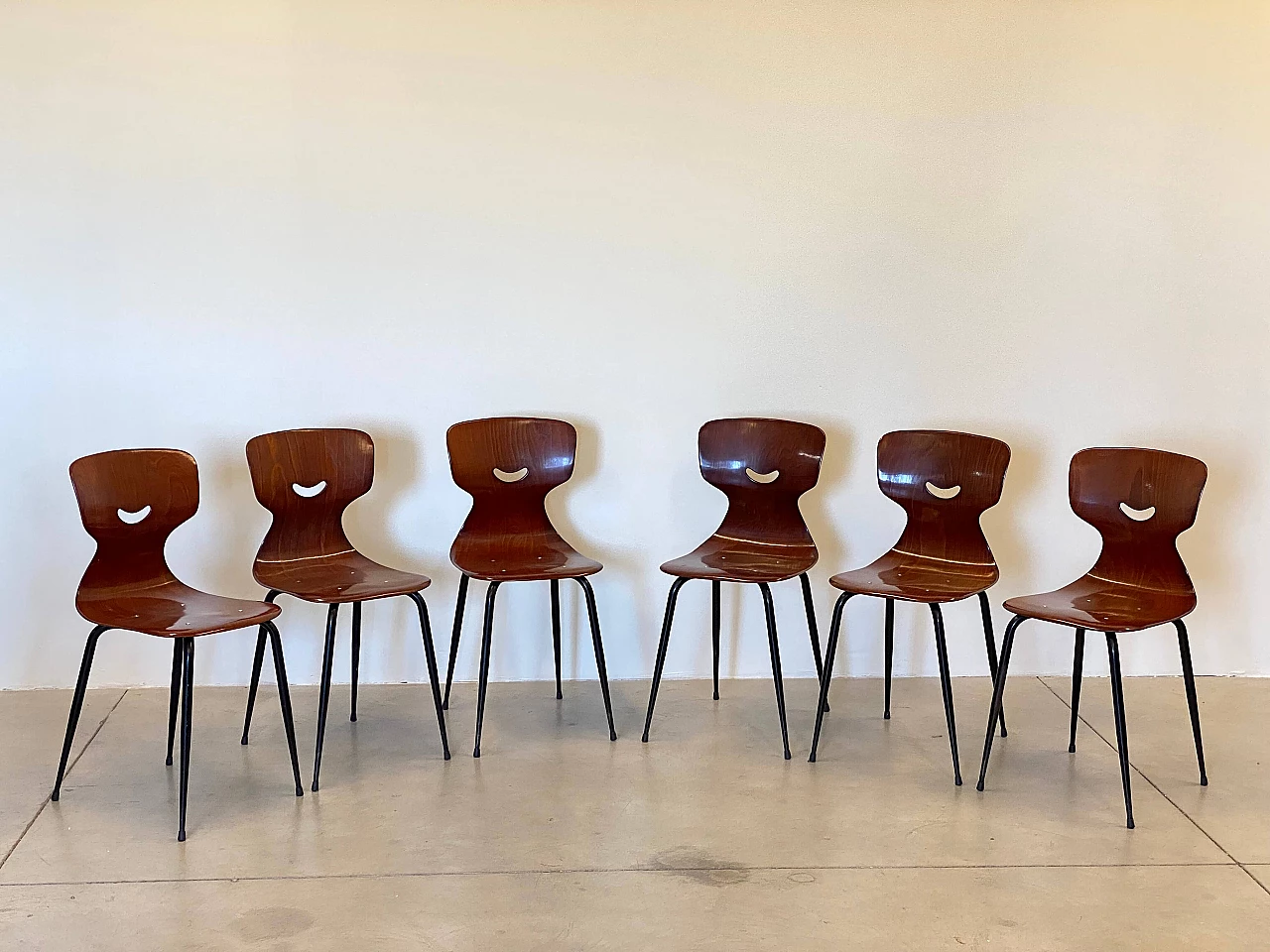 6 Pagholz chairs in curved plywood and metal, 1960s 6